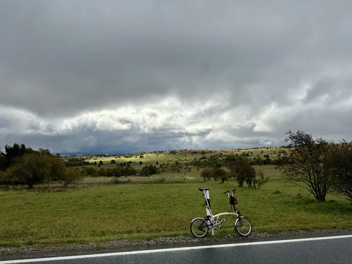 Straße in der langen Rhön mit Schafen im Hintergrund
