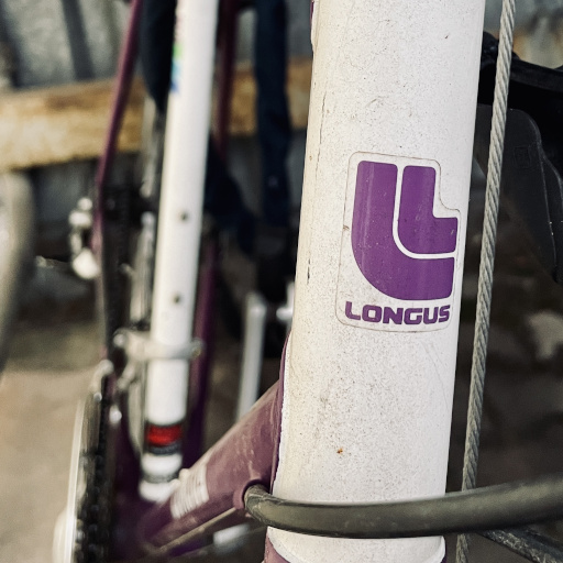 Steuerrohr eines Fahrrads mit Markenemblem Longus