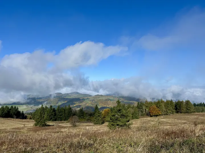 als die Sonne mal rauskam