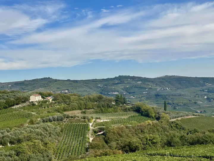 Soave